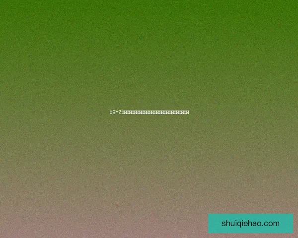 以BYZ为核心解析数字经济时代下的创新与发展趋势及其全球影响力